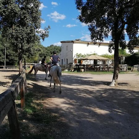 Casa Rural, Can Cirera Seriñá 外观 照片