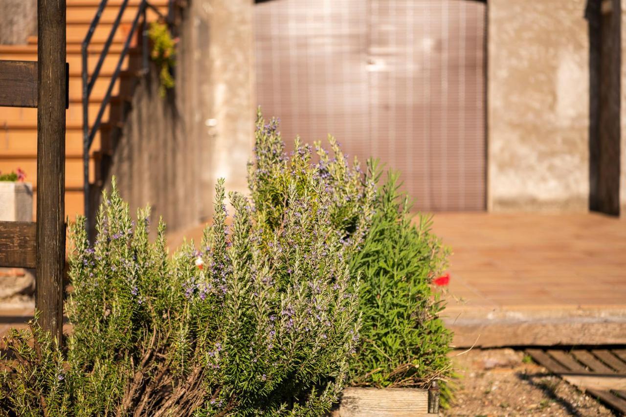 Casa Rural, Can Cirera Seriñá 外观 照片