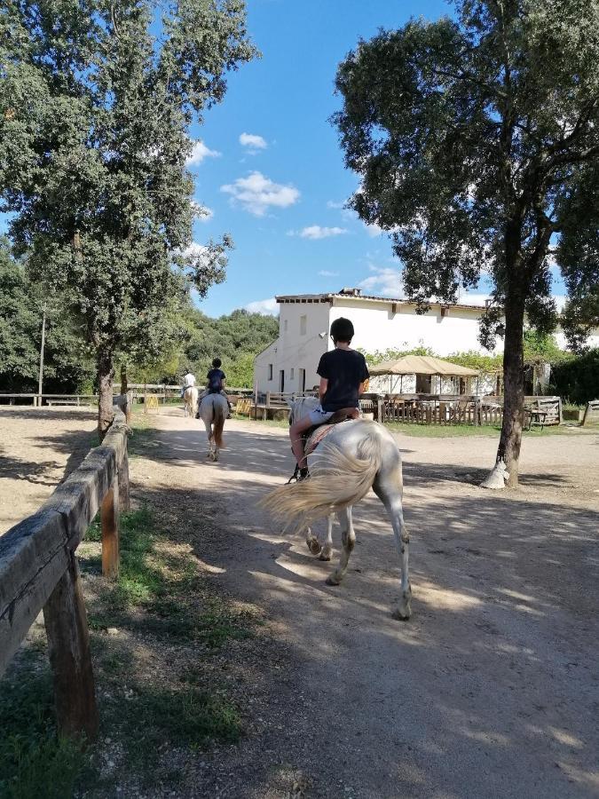 Casa Rural, Can Cirera Seriñá 外观 照片